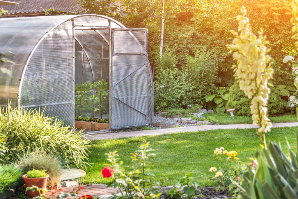 Drivhus Placering | Tips til vælge den placering i haven